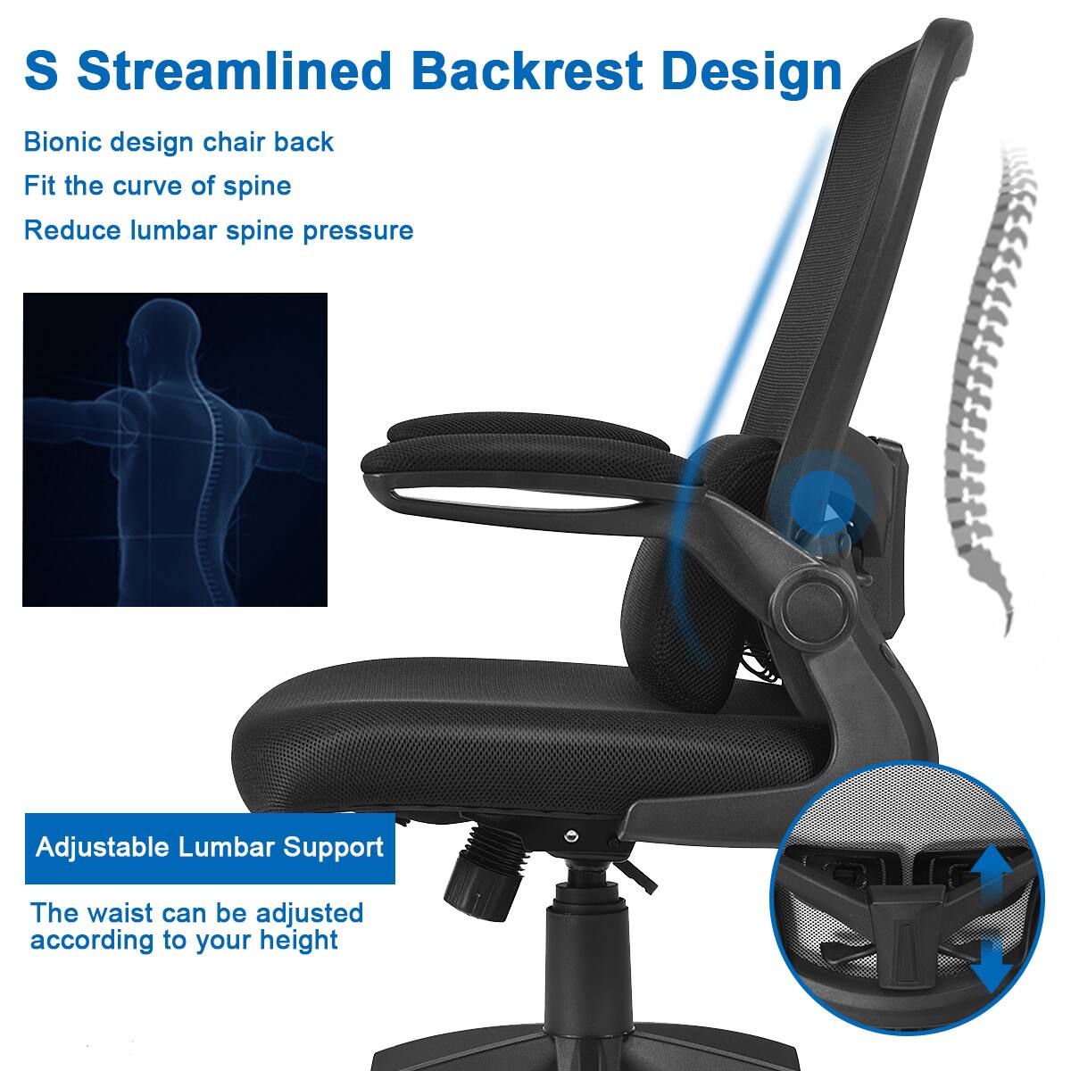 S Streamlined Backrest Design: This chair features a streamlined backrest design that fits the curve of the spine, providing lumbar support and reducing spinal pressure.

Bionic Design: The chair's back is designed to mimic the shape of the human spine, offering better support and comfort.

Adjustable Lumbar Support: The chair's lumbar support can be adjusted according to the user's height, ensuring optimal support for the lower back.