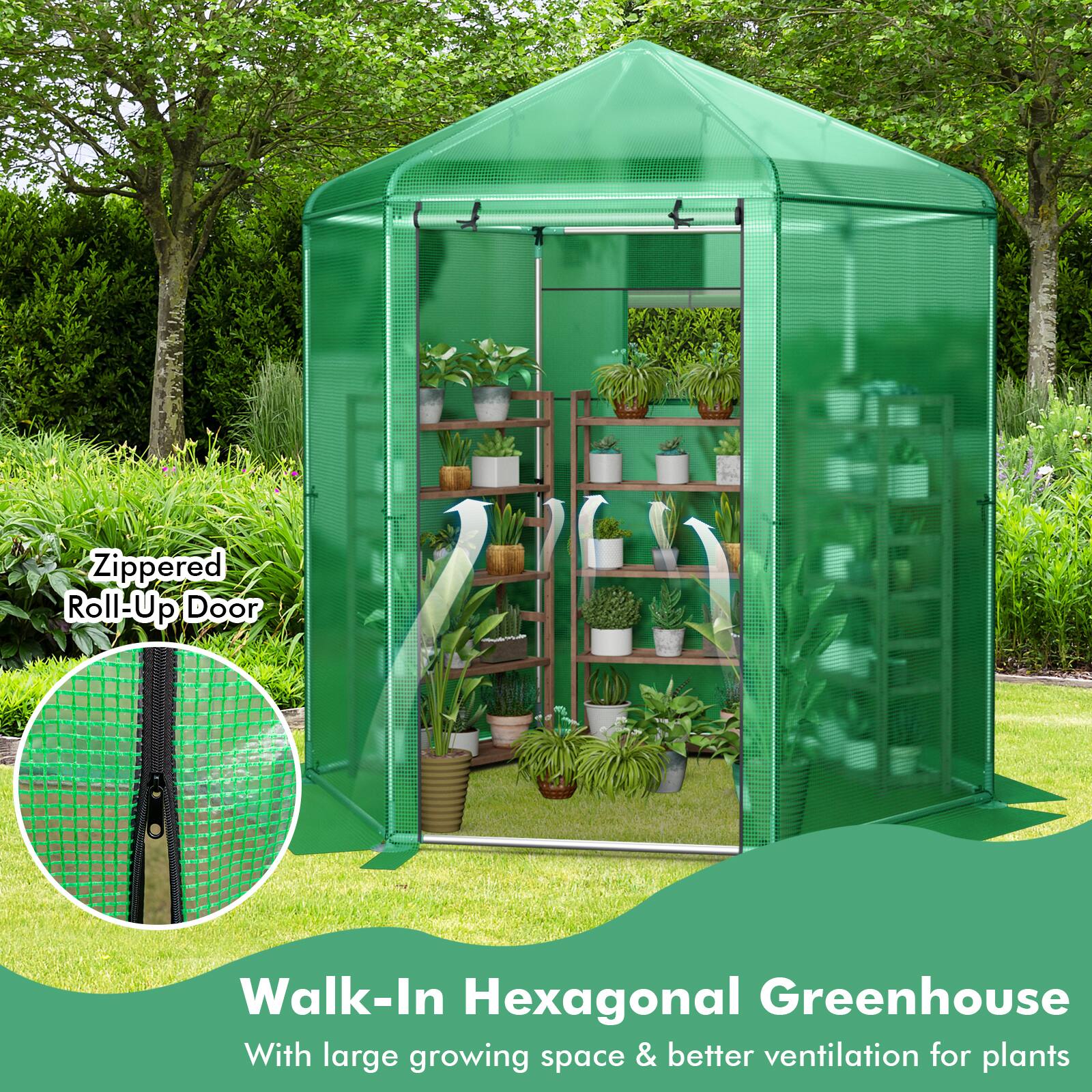 Zippered Roll-Up Door

Walk-In Hexagonal Greenhouse

With large growing space & better ventilation for plants