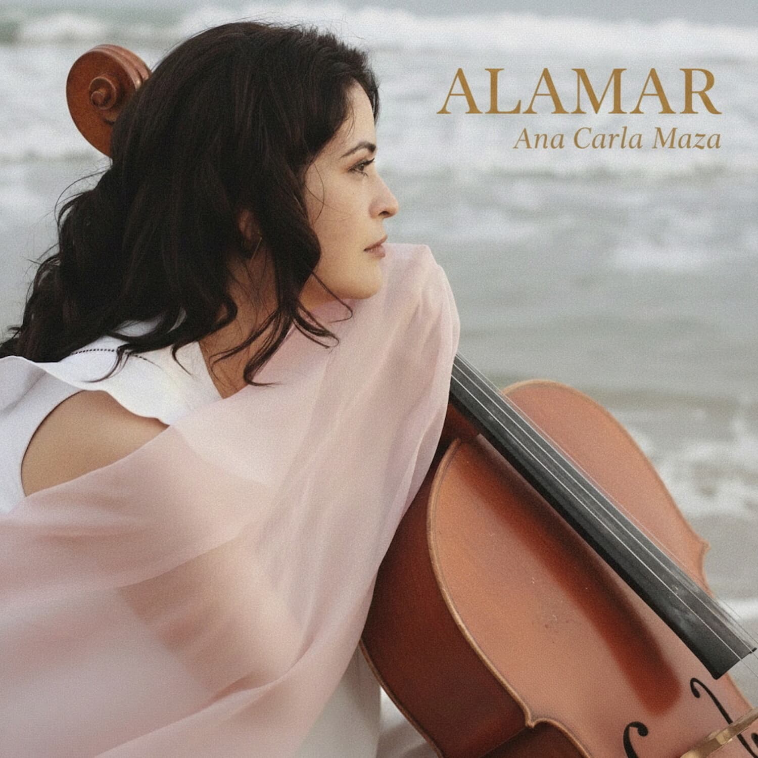 Ana Carla Maza - Alamar   - COMPACT DISCS [CD] price history on PriceWatchPro
