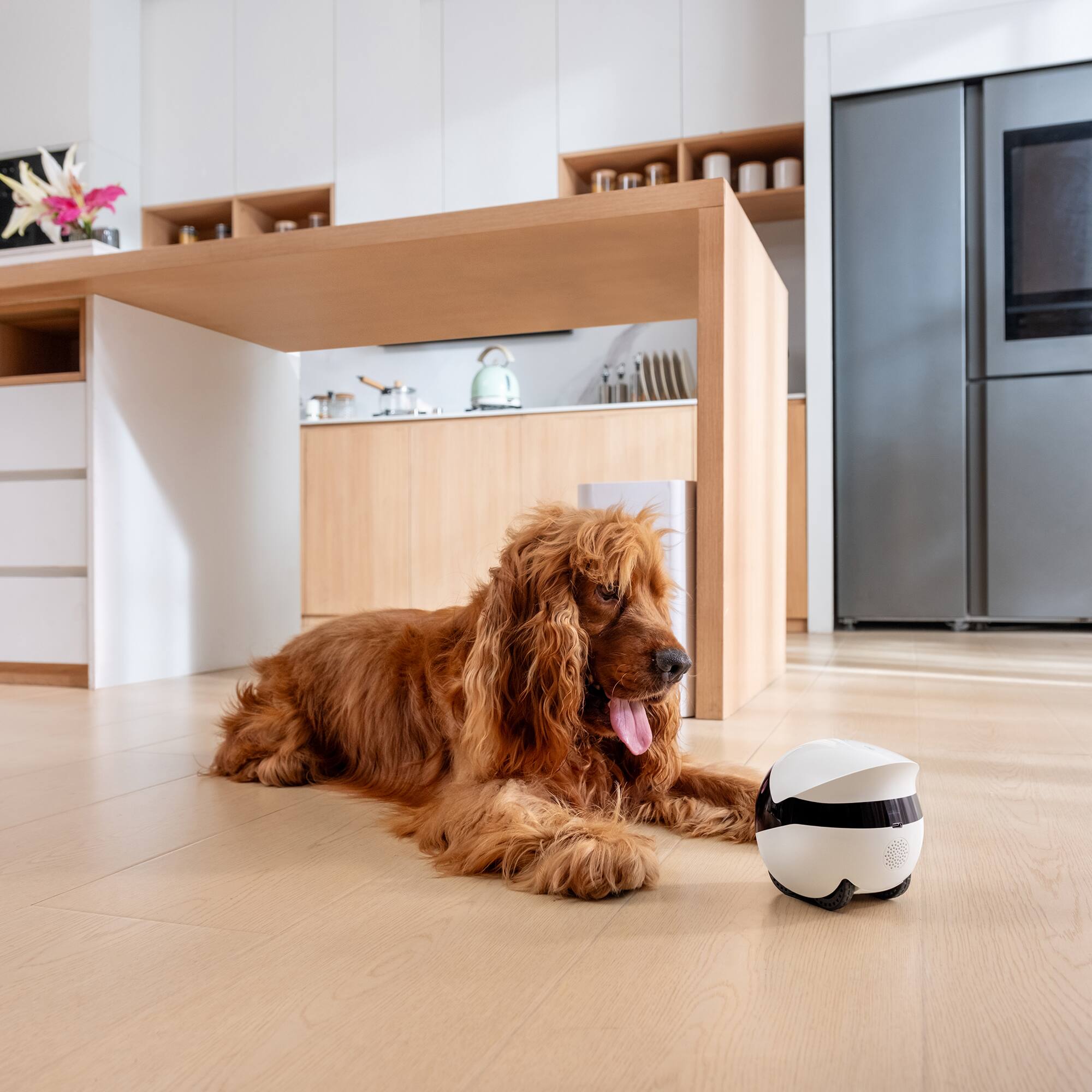 Alt View 14. Enabot - EBO Air 2 Plus FamilyBot with 3K Res, AI Assistant, 2-Way Video, Smart Patrol, 32-GB SD Card, Charging Dock, AC Adapter - Lunar White.