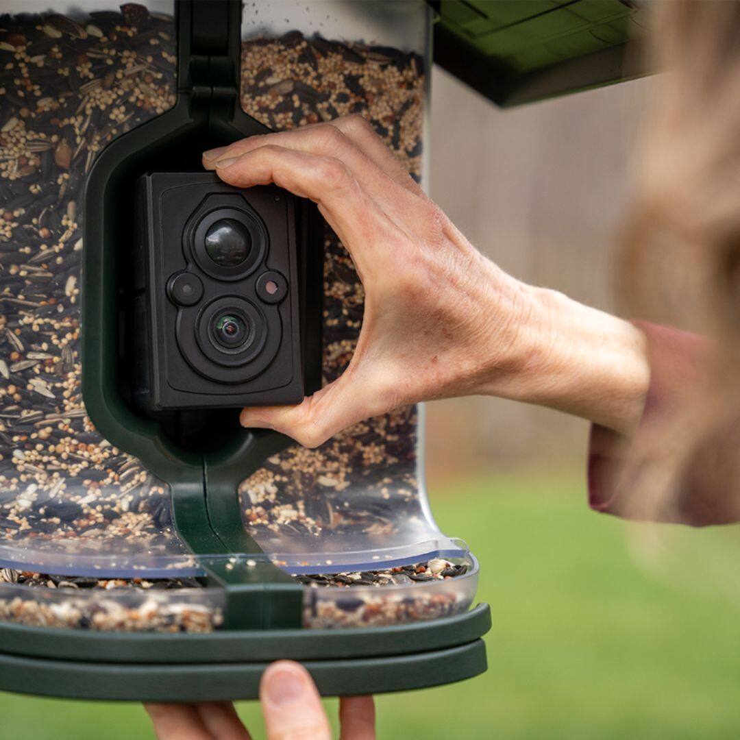 Back. Tactacam - WiFI enabled Smart Bird Feeder - Seed by FeatherSnap - Green, Clear.