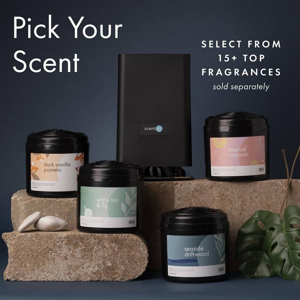 Pick Your Scent

SELECT FROM 15+ TOP FRAGRANCES sold separately

- dark vanilla pomelo
- tropical coconut
- white tea & fig
- seaside driftwood