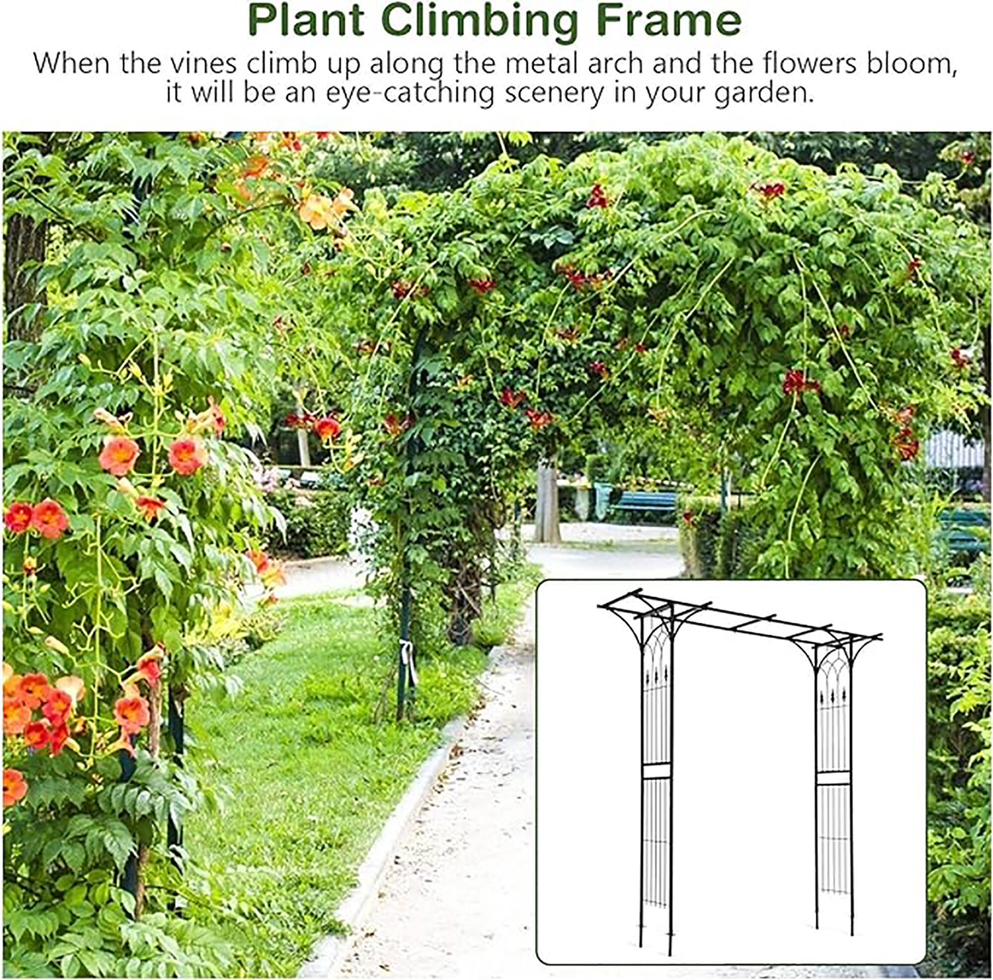 Plant Climbing Frame

When the vines climb up along the metal arch and the flowers bloom, it will be an eye-catching scenery in your garden.