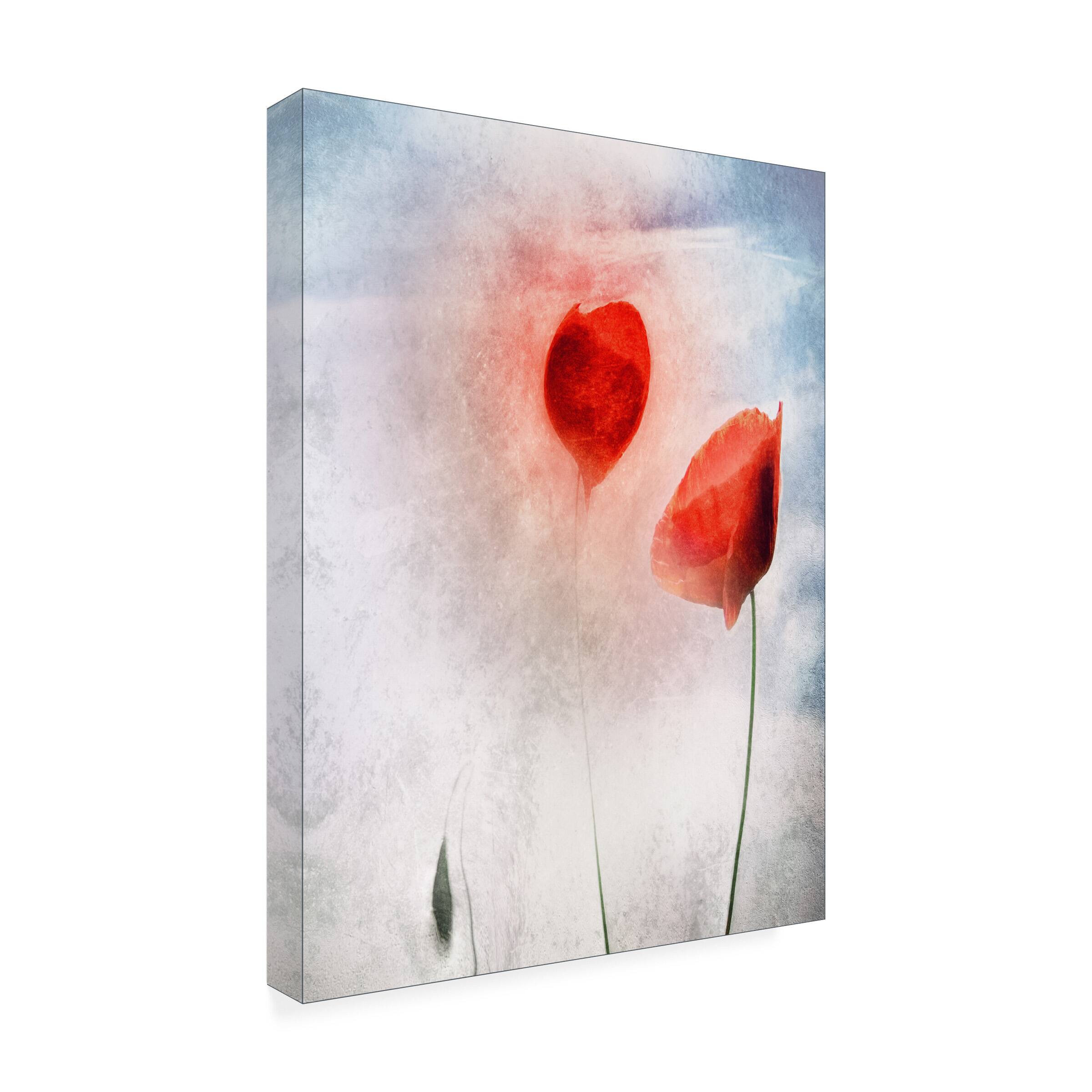 Front. Trademark Fine Art - Gilbert Claes In Flanders Fields Canvas Art - 24 x 32 Inches - 24x32 - Multicolor.