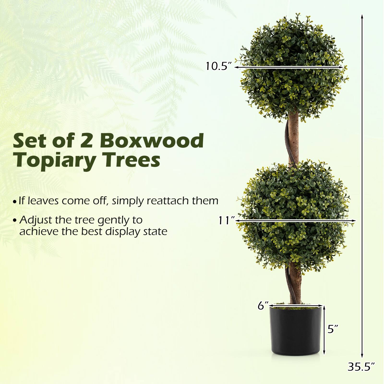 Set of 2 Boxwood Topiary Trees

- If leaves come off, simply reattach them
- Adjust the tree gently to achieve the best display state

10.5"  
11"  
6"  
5"  
35.5"