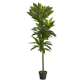 BreeBe - 56" Dracaena Artificial Plant (Real Touch) - Green
