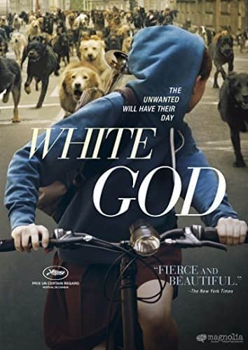 White God  - DVD