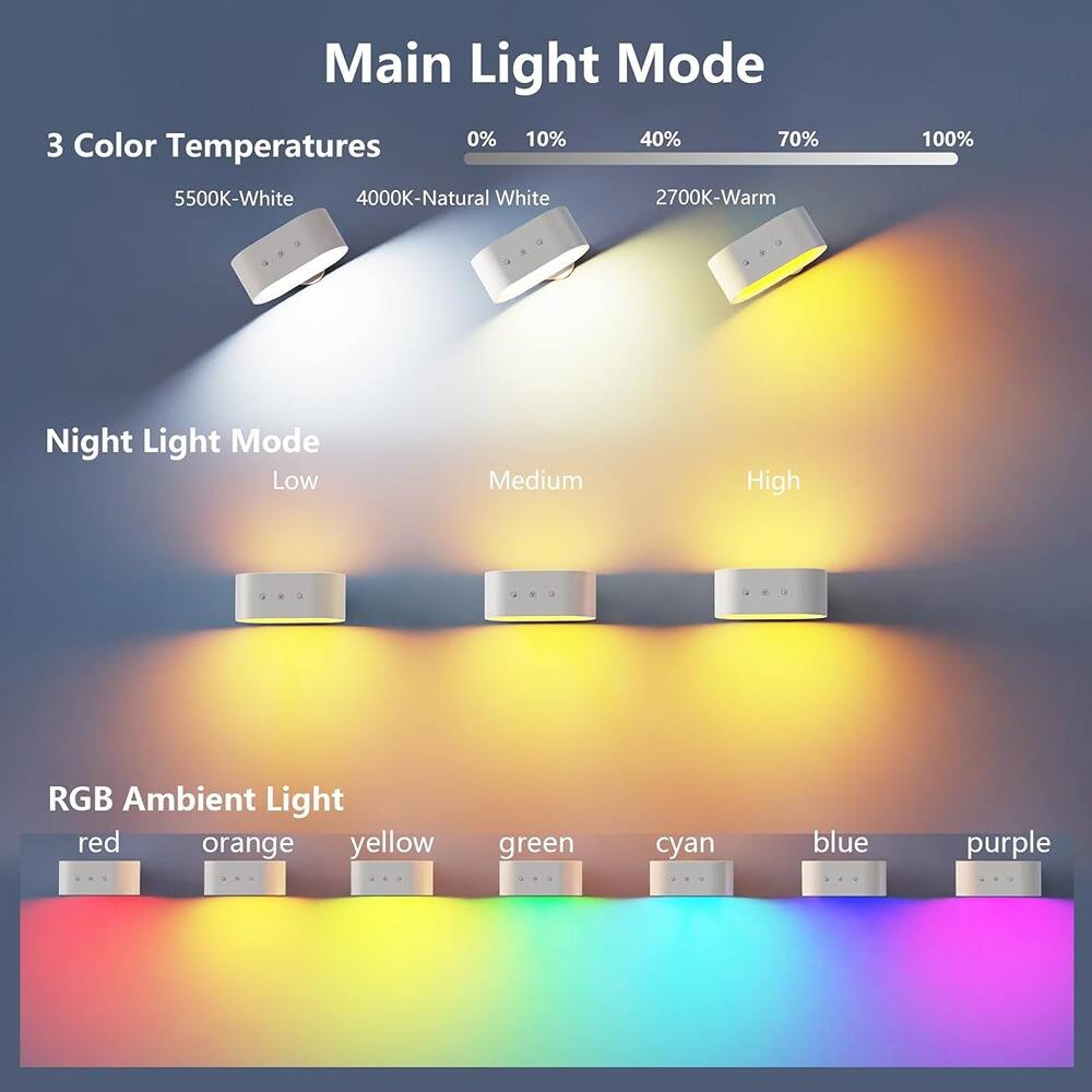 Main Light Mode

3 Color Temperatures
- 5500K-White
- 4000K-Natural White
- 2700K-Warm

Night Light Mode
- Low
- Medium
- High

RGB Ambient Light
- red
- orange
- yellow
- green
- cyan
- blue
- purple