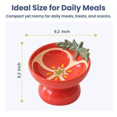 Ideal Size for Daily Meals Compact yet roomy for daily meals, treats, and snacks.  
6.2 inch