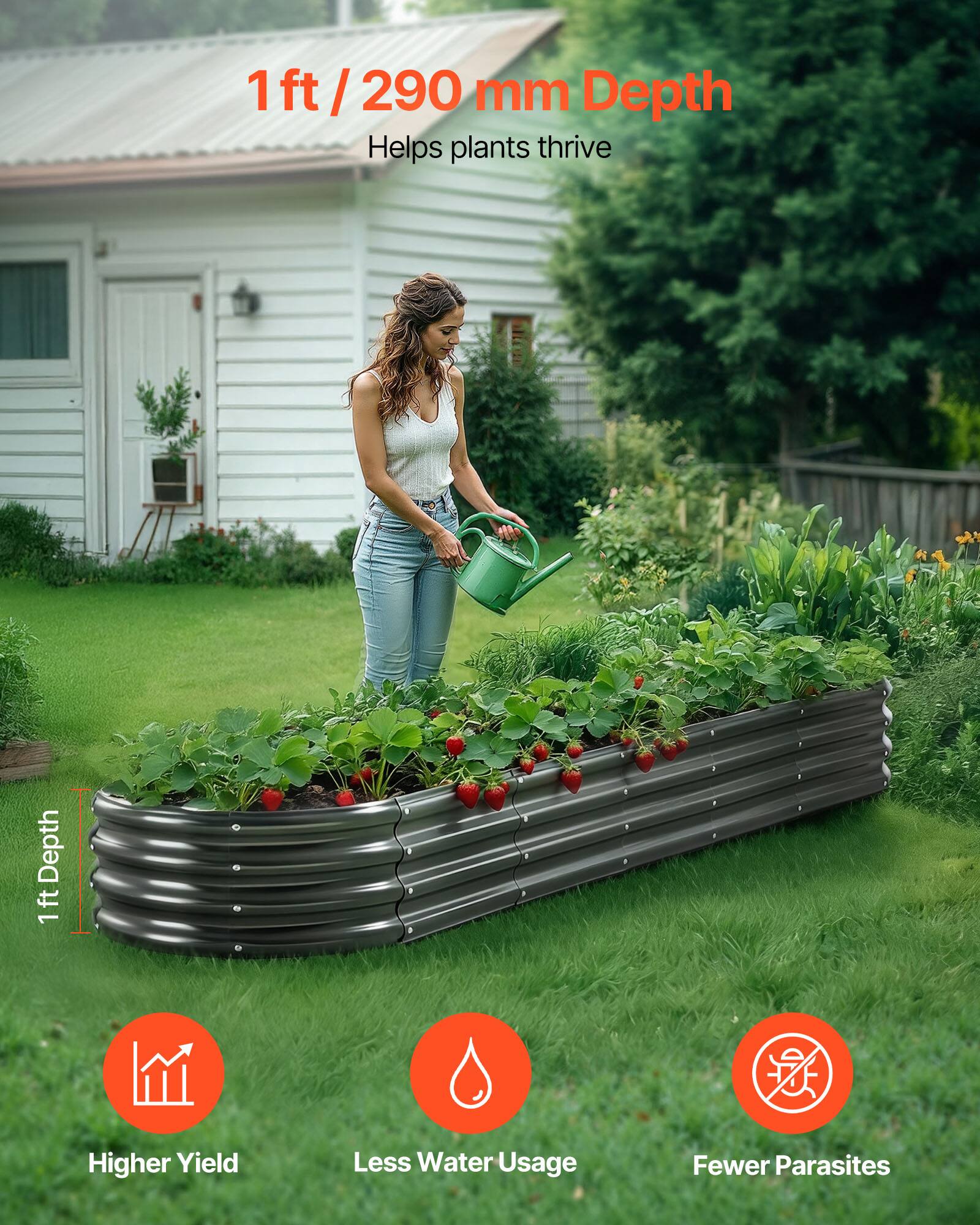 1 ft / 290 mm Depth  
Helps plants thrive  

1 ft Depth  

Higher Yield  
Less Water Usage  
Fewer Parasites