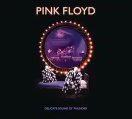 Pink Floyd - Delicate Sound Of Thunder 2CD - COMPACT DISCS