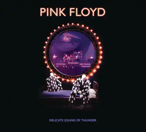 PINK FLOYD
DELICATE SOUND OF THUNDER