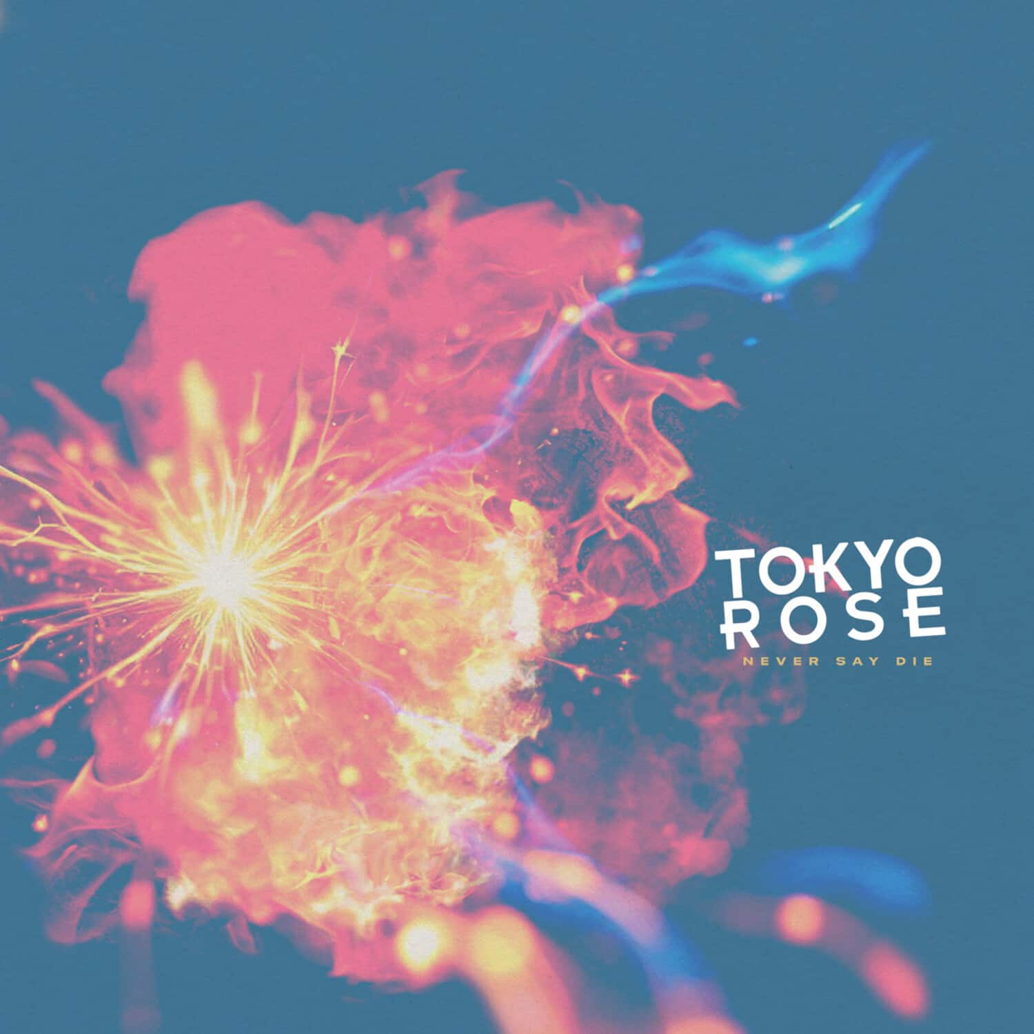 Tokyo Rose - Never Say Die   - COMPACT DISCS [CD] price history on PriceWatchPro