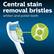 Central stain removal bristles
whiten and polish teeth