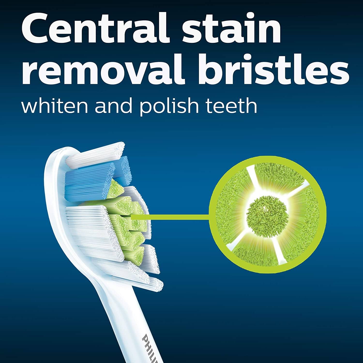 Central stain removal bristles  
whiten and polish teeth