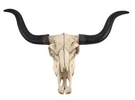 Zeckos - Huge Wall Hanging Longhorn Cow Skull 27in Wide Resin Long Horn Steer Wall Decor - White