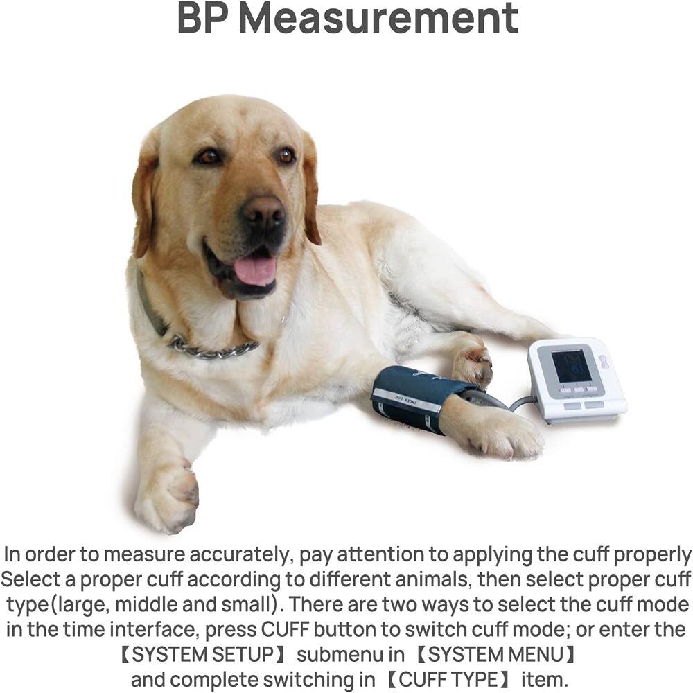 BP Measurement

In order to measure accurately, pay attention to applying the cuff properly. Select a proper cuff according to different animals, then select proper cuff type (large, middle and small). There are two ways to select the cuff mode in the time interface, press CUFF button to switch cuff mode; or enter the SYSTEM SETUP submenu in SYSTEM MENU and complete switching in CUFF TYPE item.