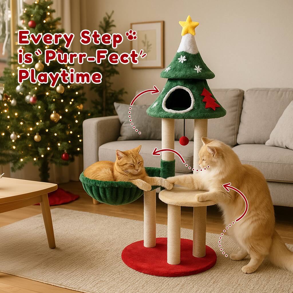 Every Step is "Purr-Fect" Playtime