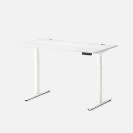 Autonomous - Desk 2 Electric Standing Desk 53x29 - 3-Stage - White Oak