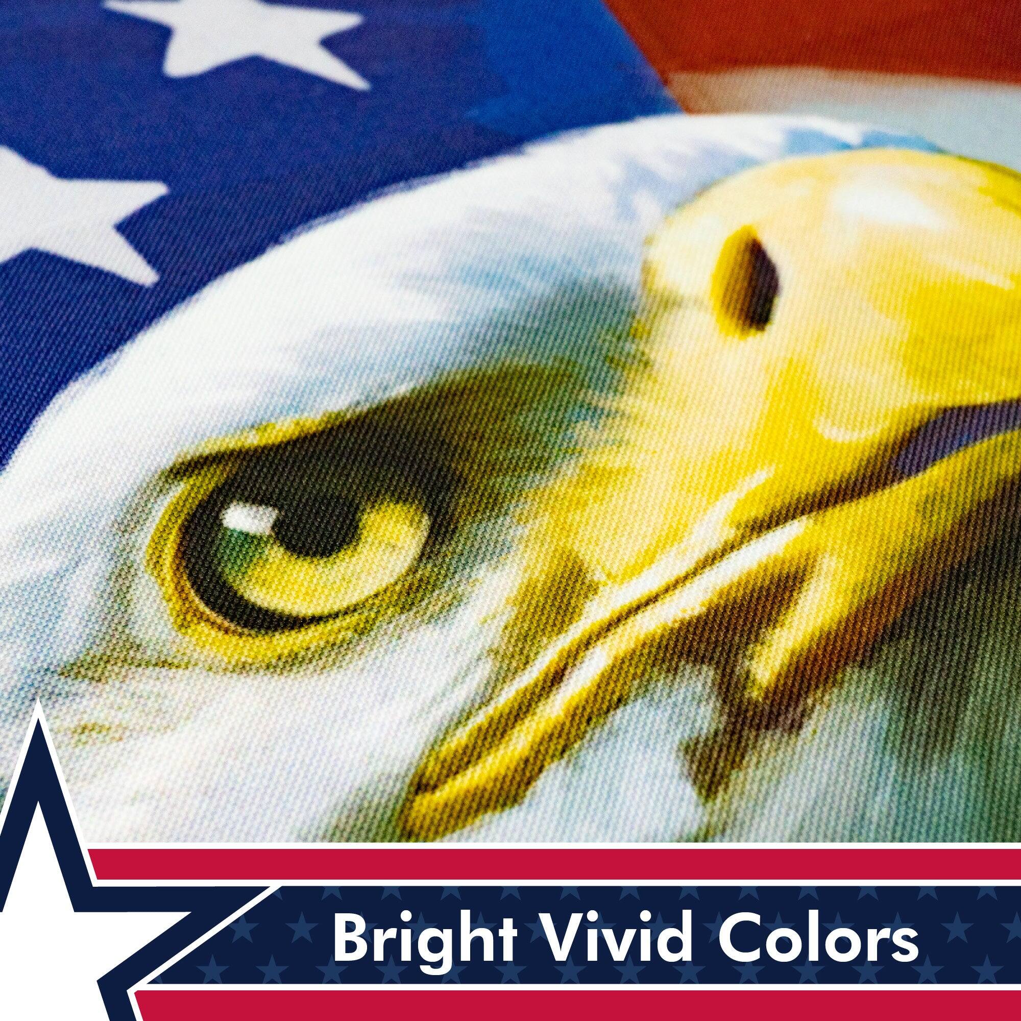Bright Vivid Colors