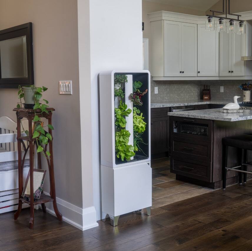 Back. Just Vertical - EVE Tower Garden | Hydroponic Growing System | Grow Fresh Herbs & Vegetables Year-Round | Fully Assembled - Flat White.
