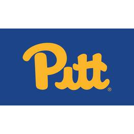 Evergreen Enterprises - Pitt Panthers 28" x 16" Turf Mat - Multicolor