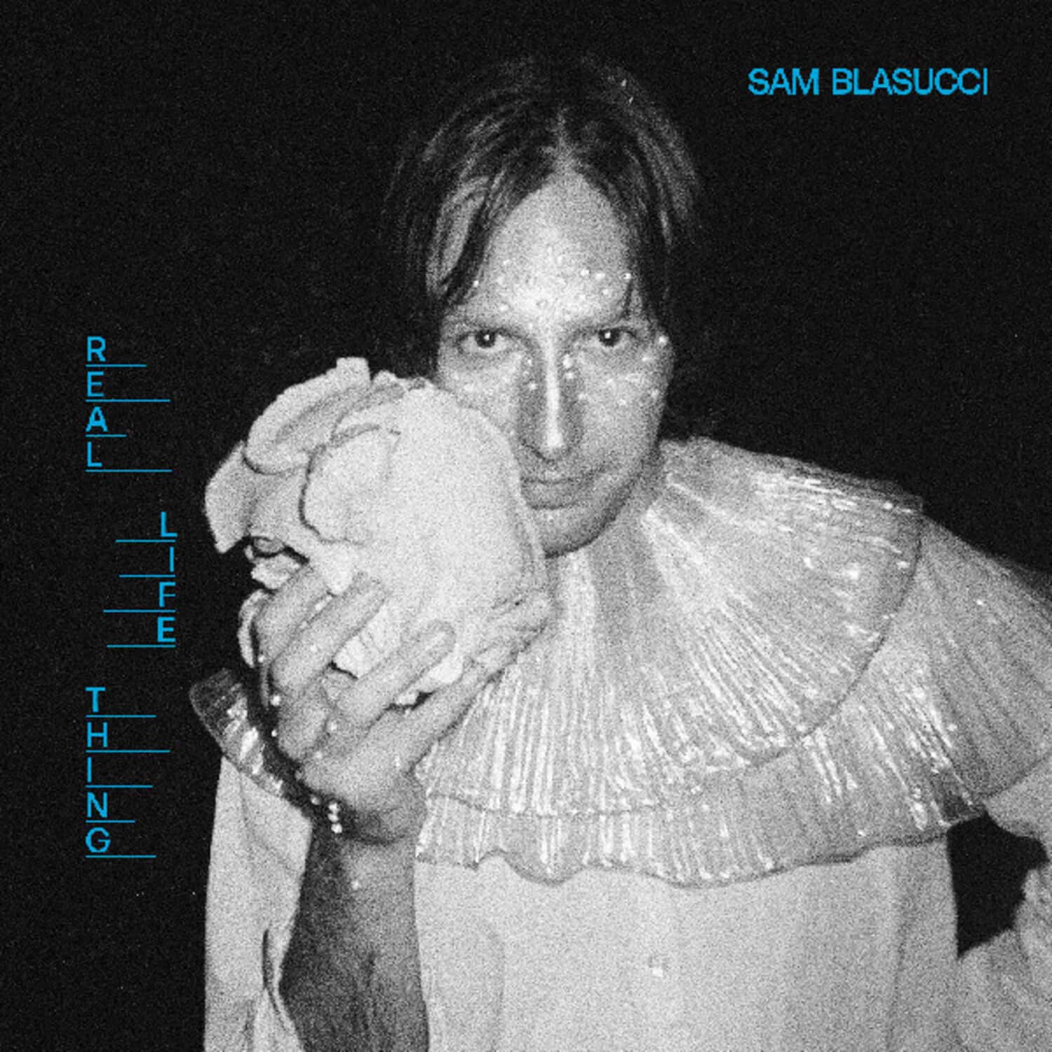 Sam Blasucci - Real Life Thing   - VINYL LP price history on PriceWatchPro