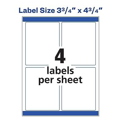 Label Size 3¾" x 4¾"  
4 labels per sheet