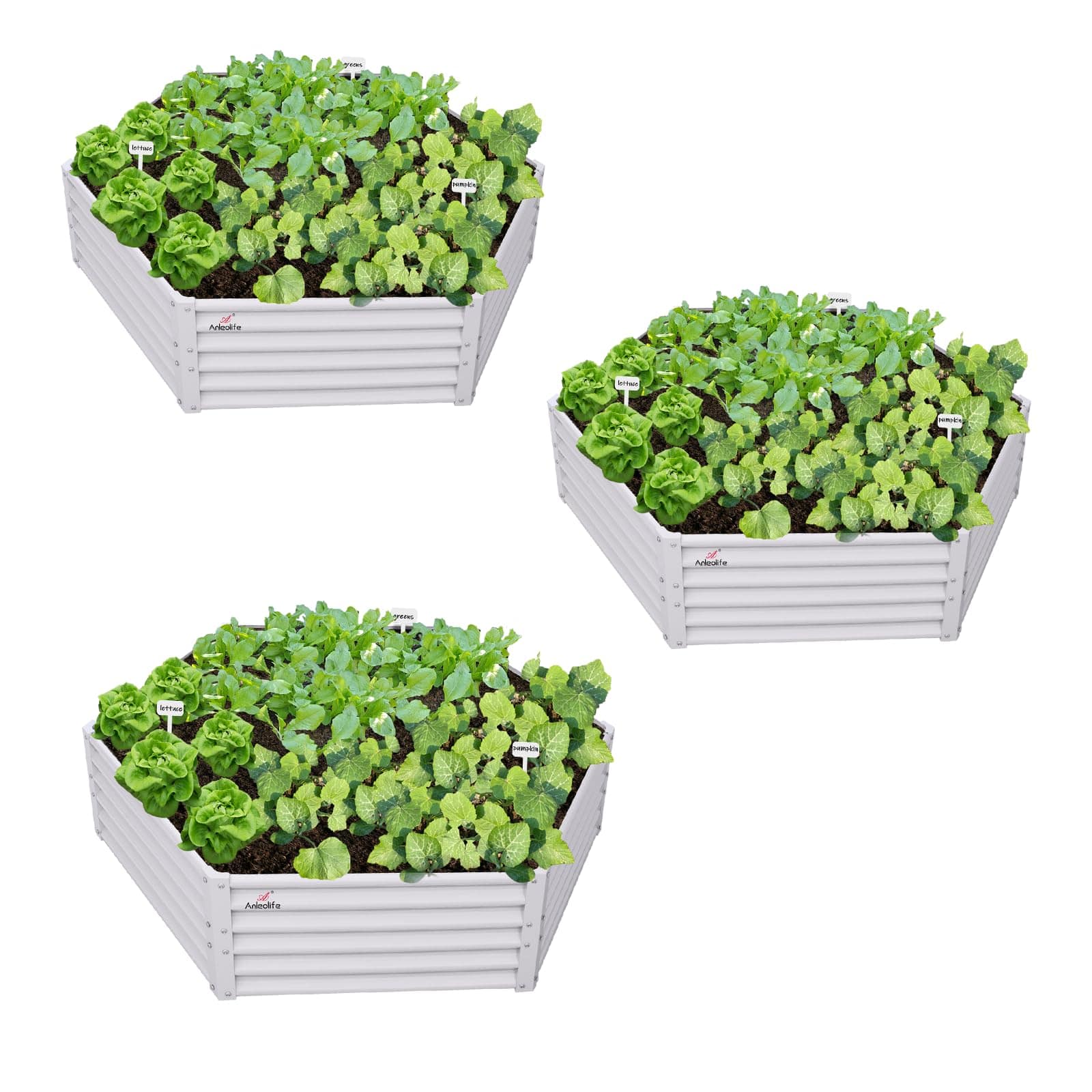 A Anleolife - 3-Pack Metal Hexagon Raised Garden Bed Planter Box for Vegetables Flowers (70 in. L x 60 in. W x 18 in. H) - White price history on PriceWatchPro