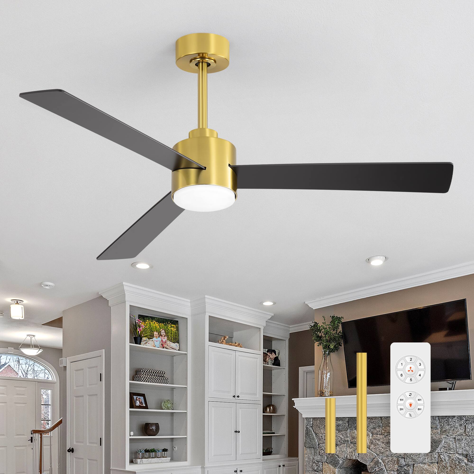 Gold and Black (With Light)