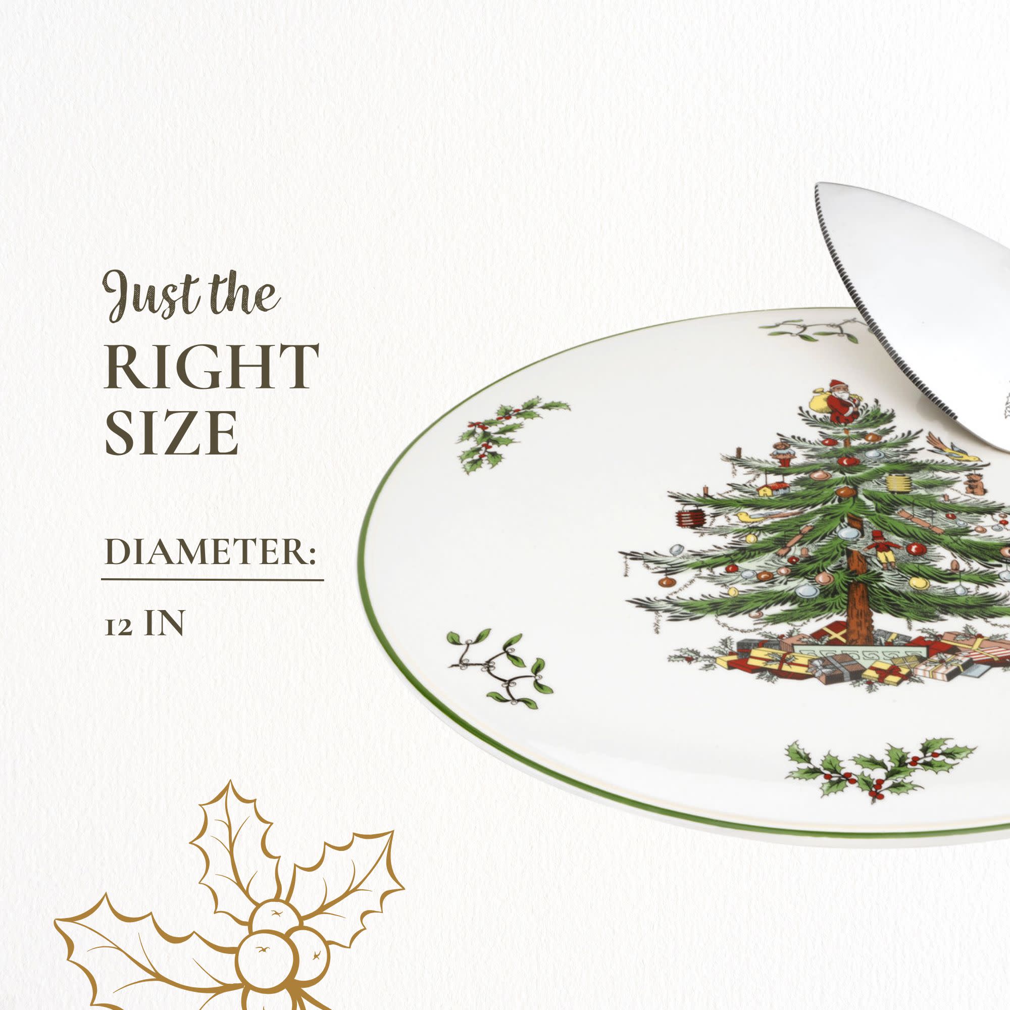 Just the RIGHT SIZE

DIAMETER:
12 IN