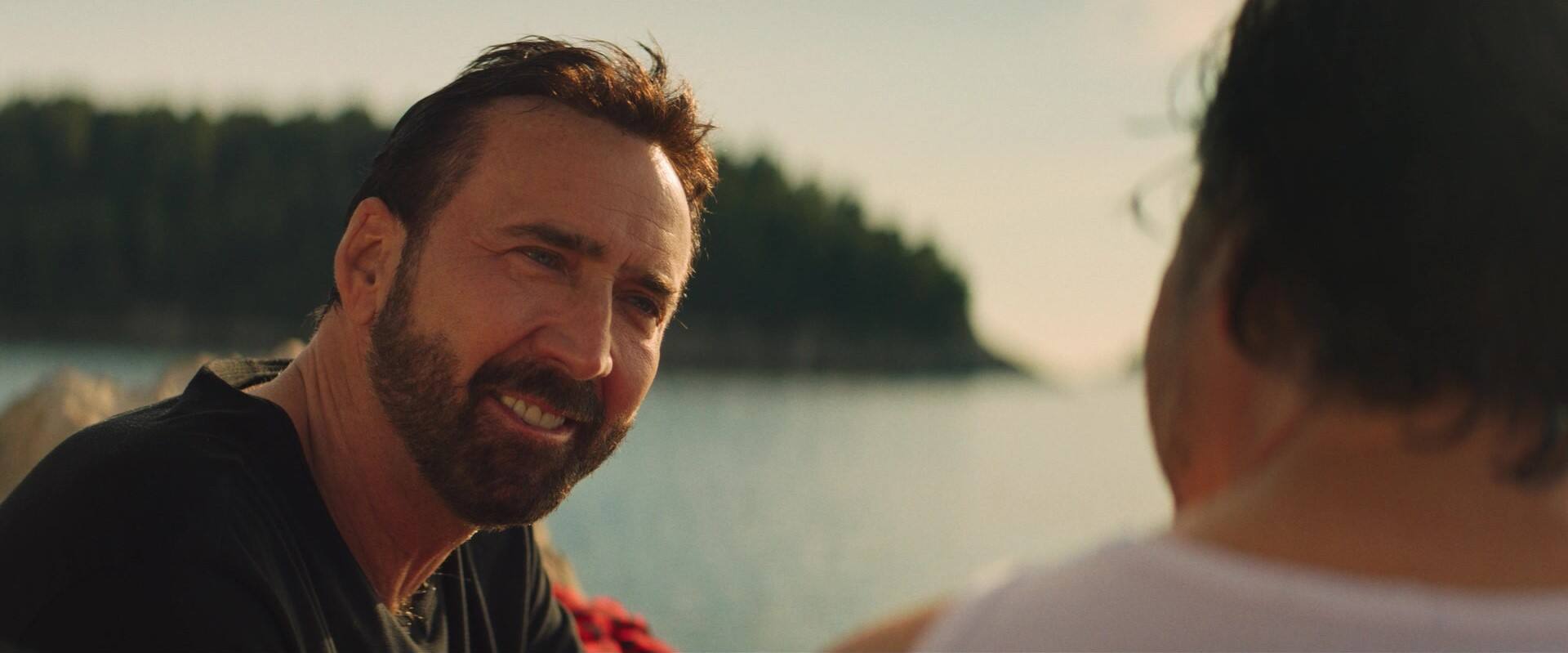 Alt View 1. The Unbearable Weight of Massive Talent   - DVD.