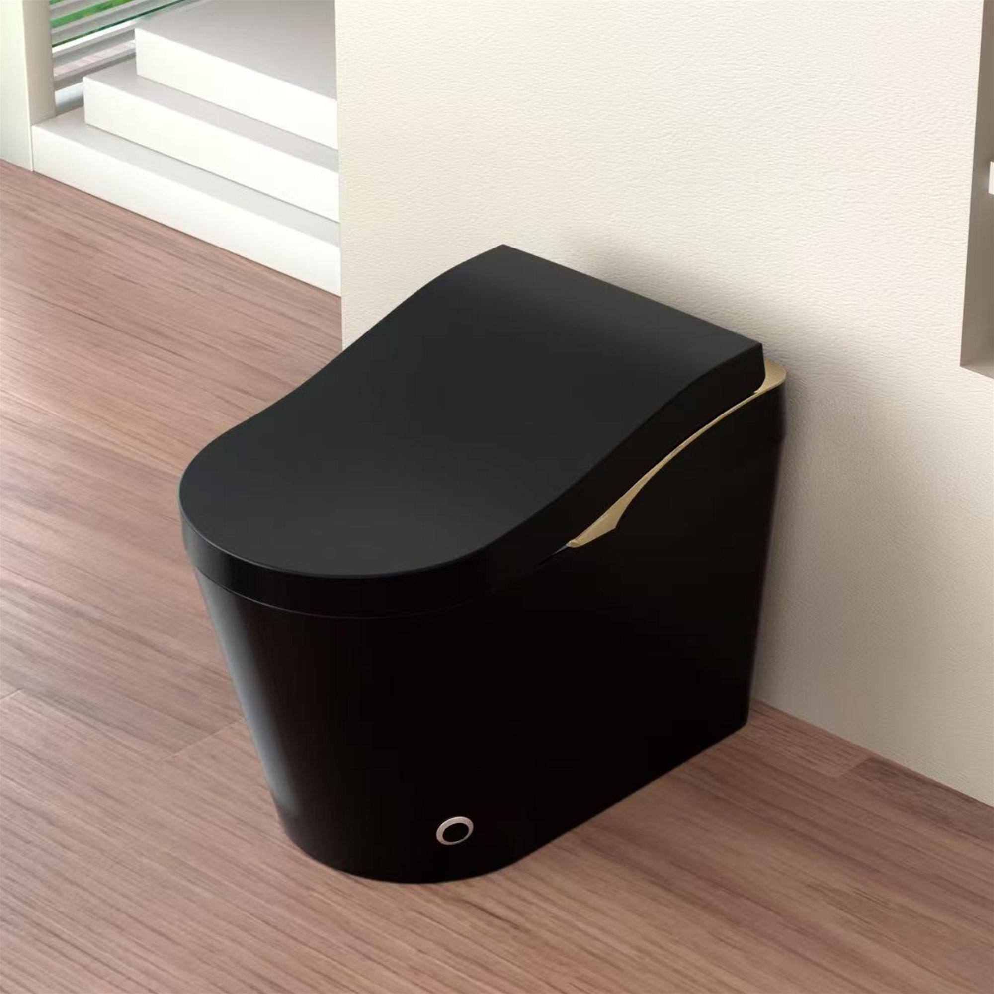 Left. ELEMENT ACE - Advanced Smart Toilet with Bidet Functionality, Auto Flush, Heated Seat, Warm Water Wash, and Foam Shield Technology - Black.