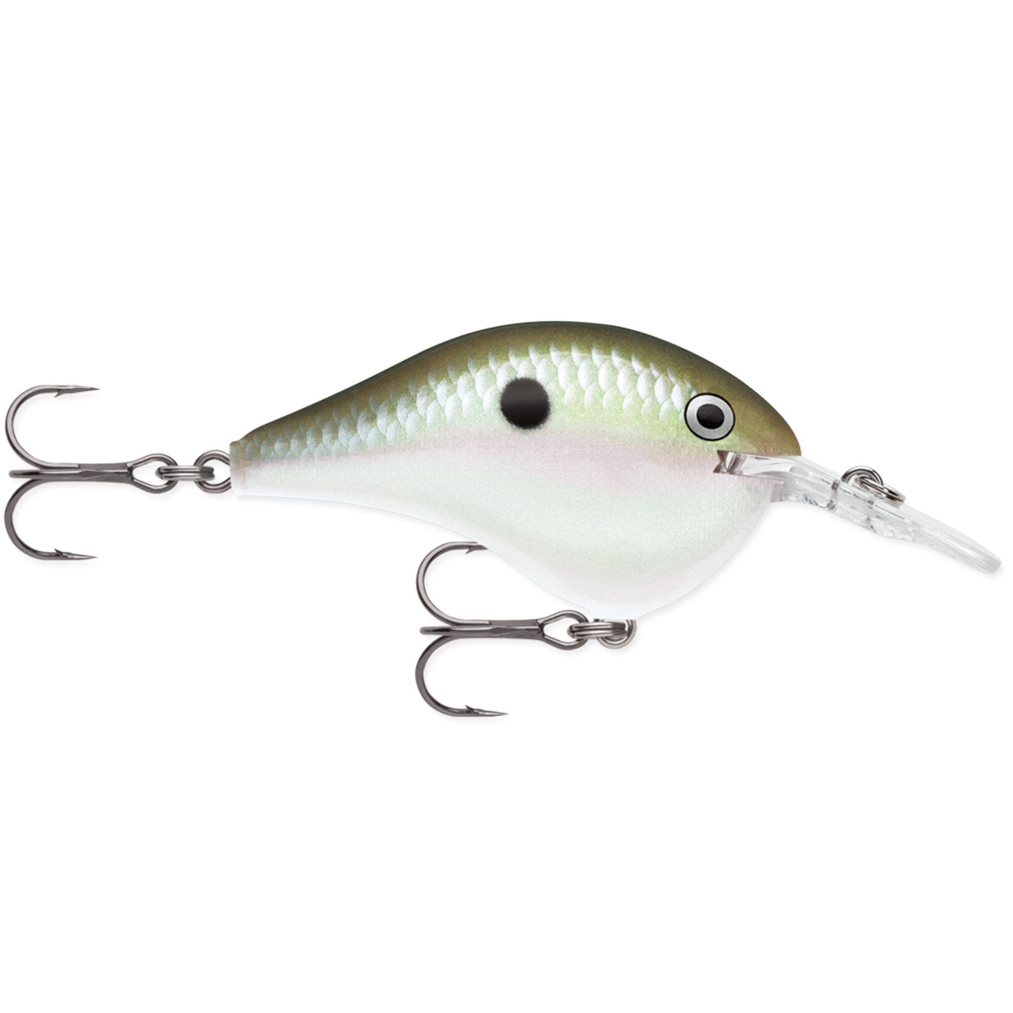 Green Gizzard Shad
