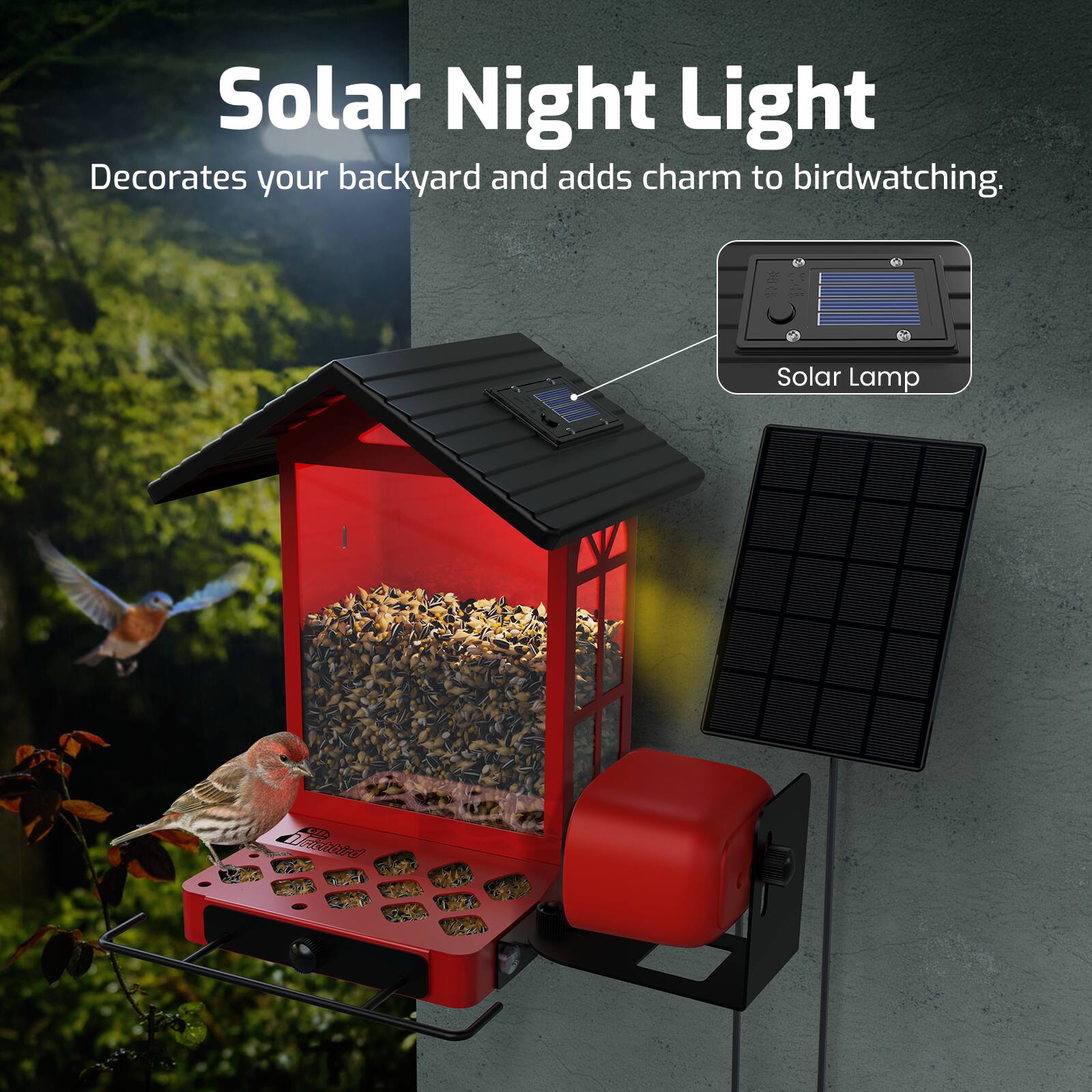 Solar Night Light  
Decorates your backyard and adds charm to birdwatching.  
Solar Lamp ID: ORROtO