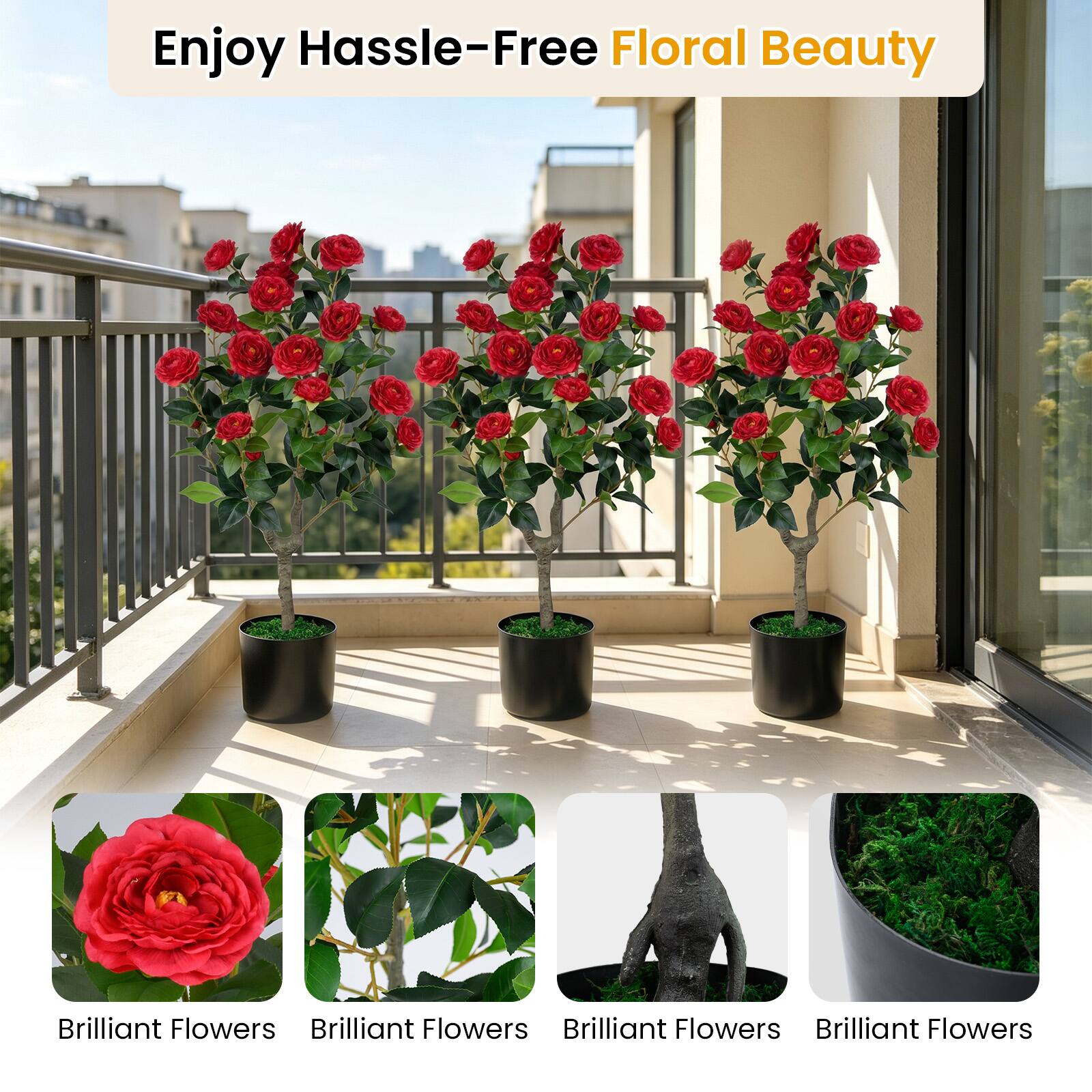 Enjoy Hassle-Free Floral Beauty

Brilliant Flowers