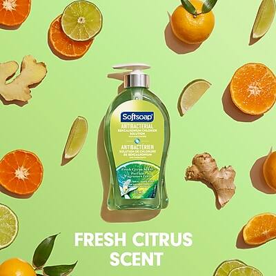 Softsoap ANTIBACTERIAL BENTALFOH CHLORINE SOLUTION ANTIBACTÉRIEN SOLUTION DE CHLORURE DE NASH Mk mHA FRESH CITRUS SCENT