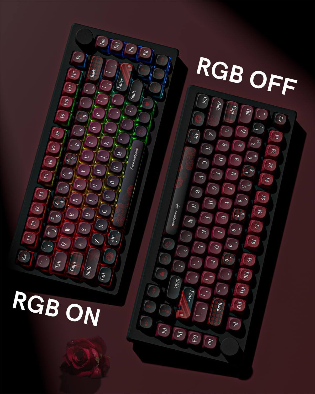 RGB ON

RGB OFF