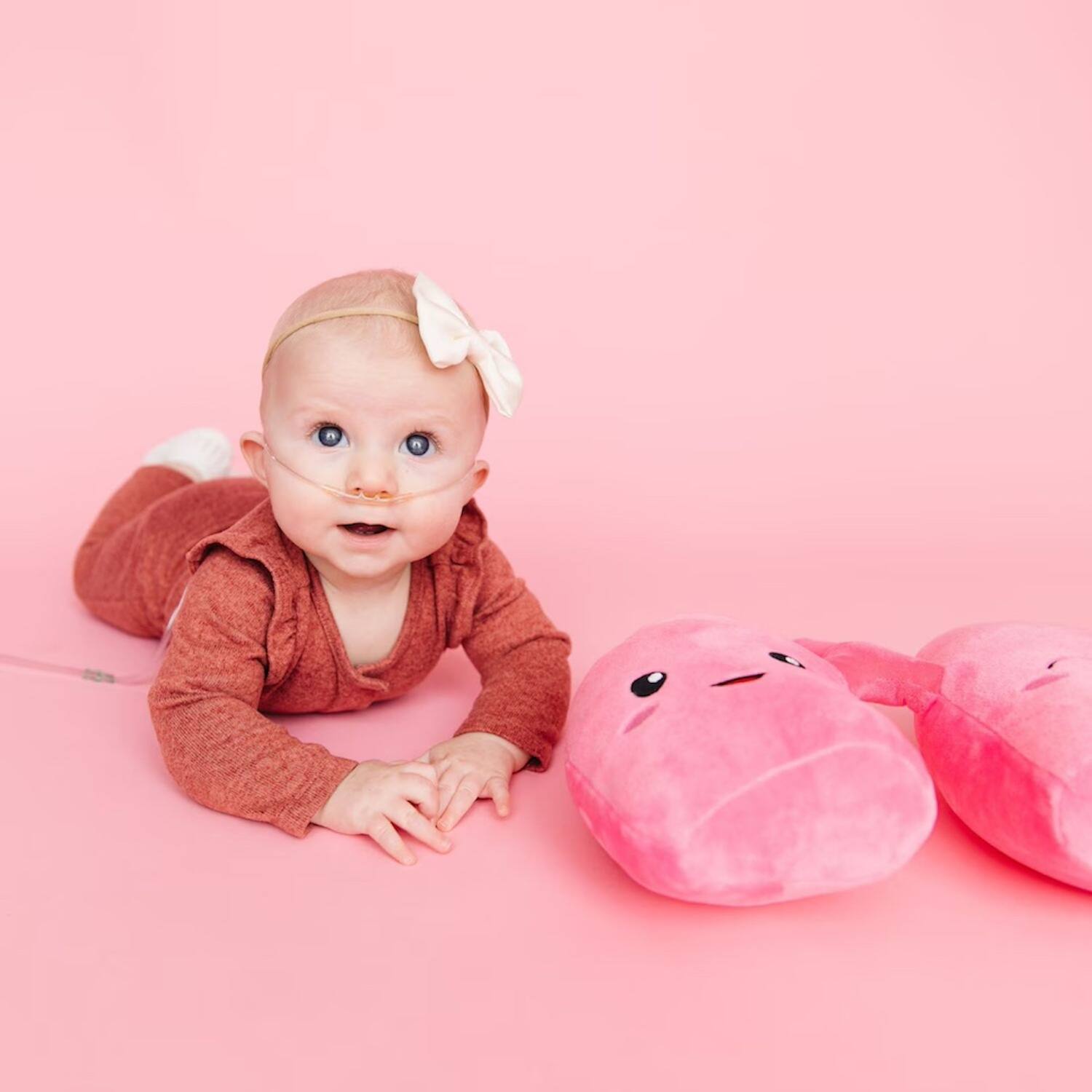 Alt View 2. Nerdbugs - Lungs Plush Organ Toys.