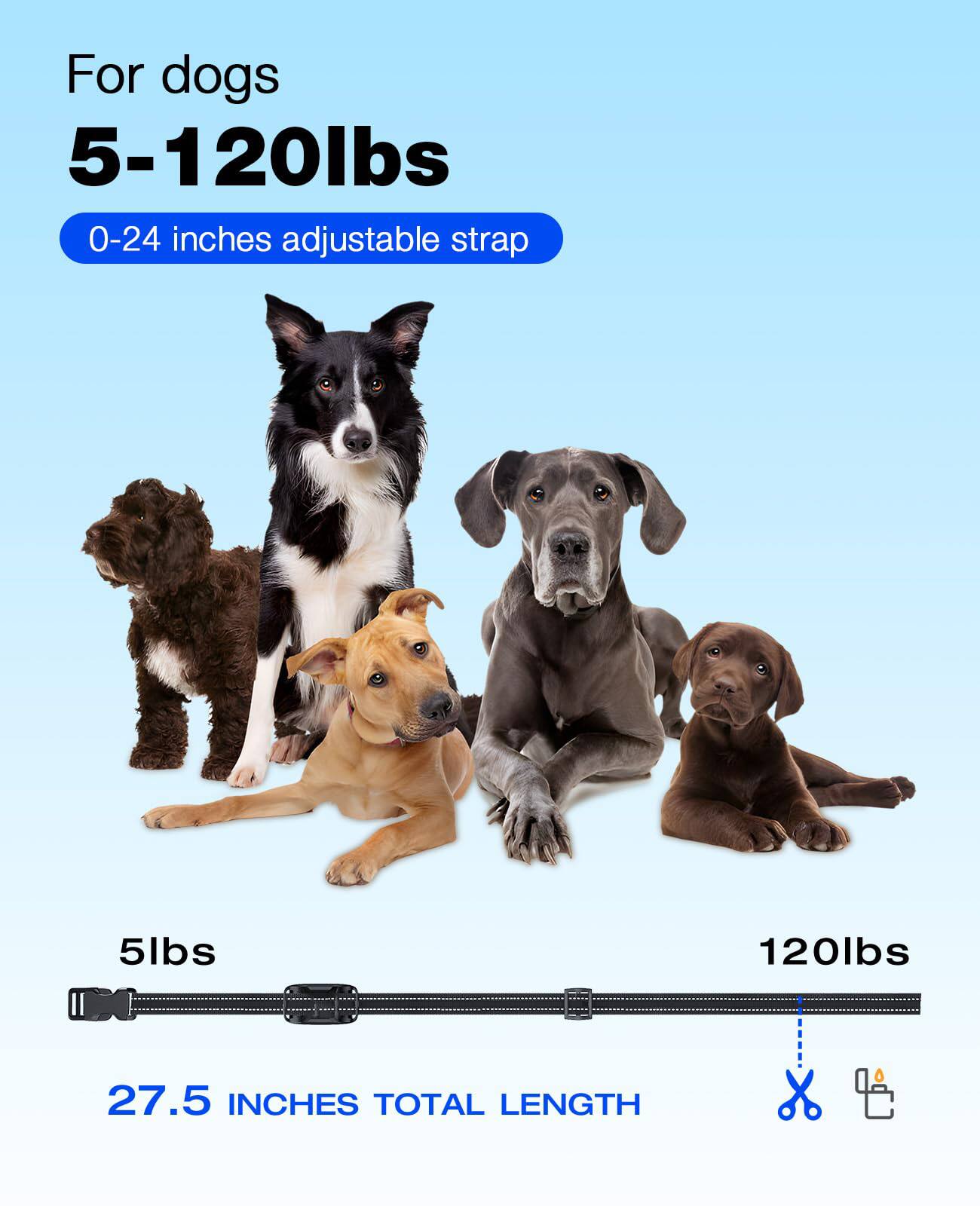 For dogs 5-120lbs  
0-24 inches adjustable strap  
5lbs  
120lbs  
27.5 INCHES TOTAL LENGTH