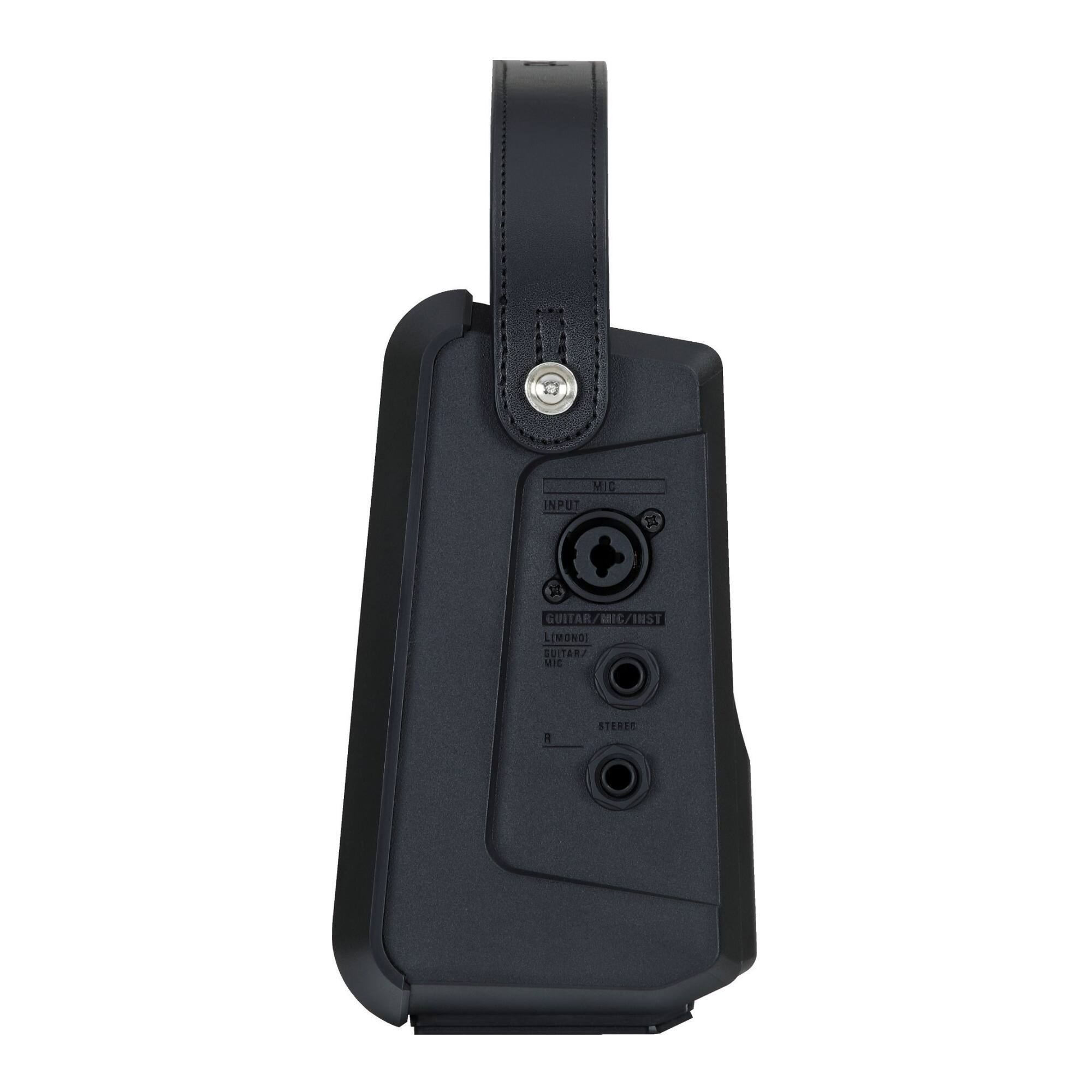MIC INPUT  
2 T GUITAR/MIC/INST  
MIC LIMONDI  
SUITAR MIC  
a STEREC