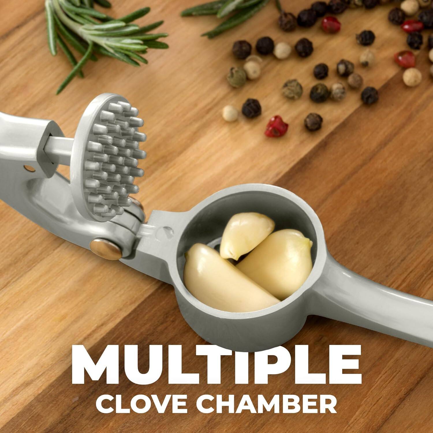 MULTIPLE CLOVE CHAMBER