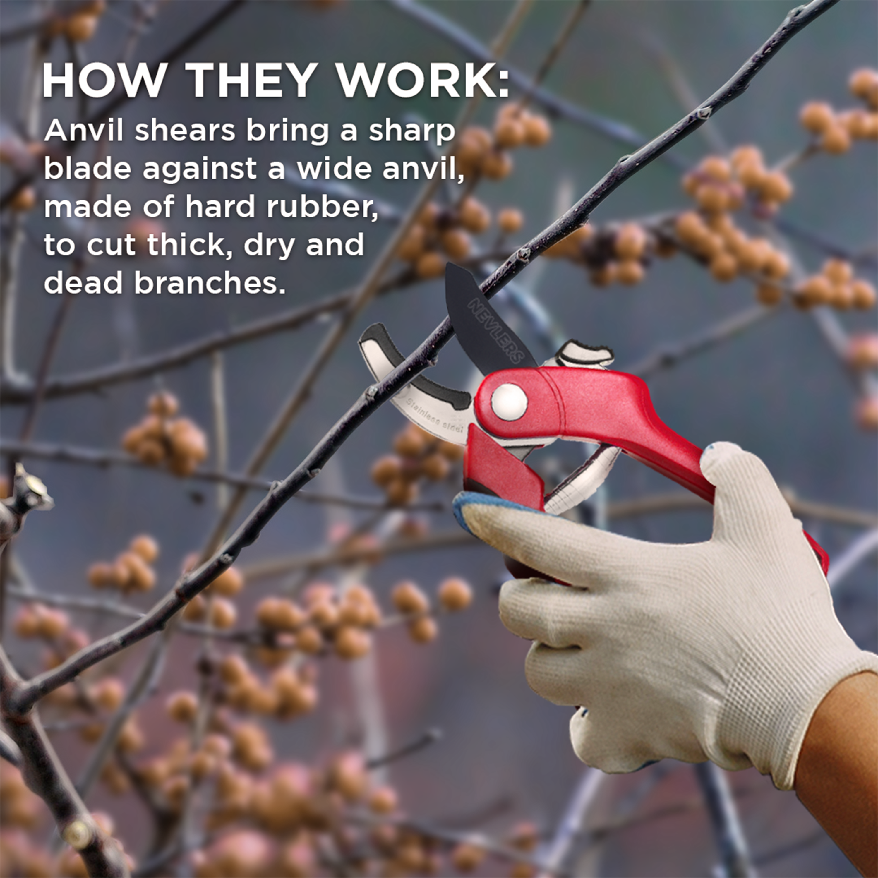 HOW THEY WORK: Anvil shears bring a sharp blade against a wide anvil, made of hard rubber, to cut thick, dry and dead branches.