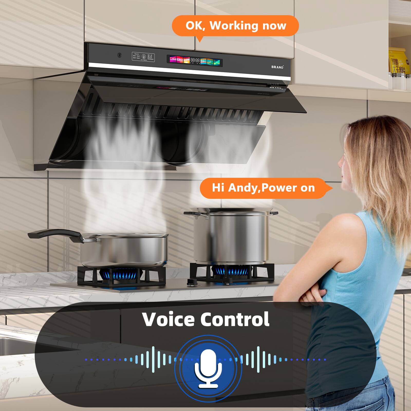 OK, Working now

Hi Andy, Power on

Voice Control