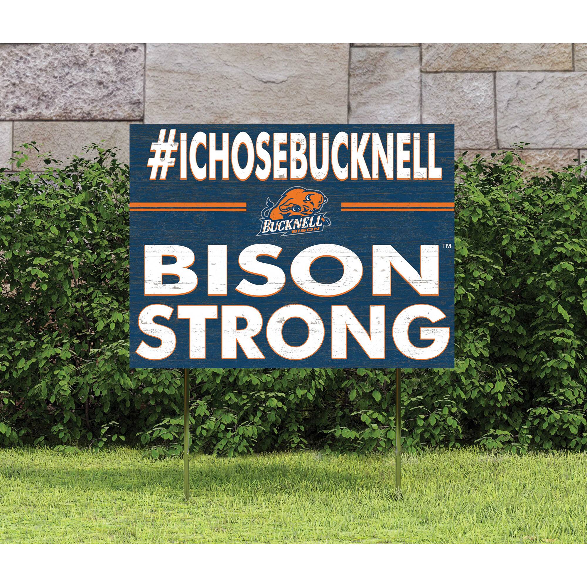 #ICHOSBUCKNELL  
BUCKNELL  
BISON STRONG