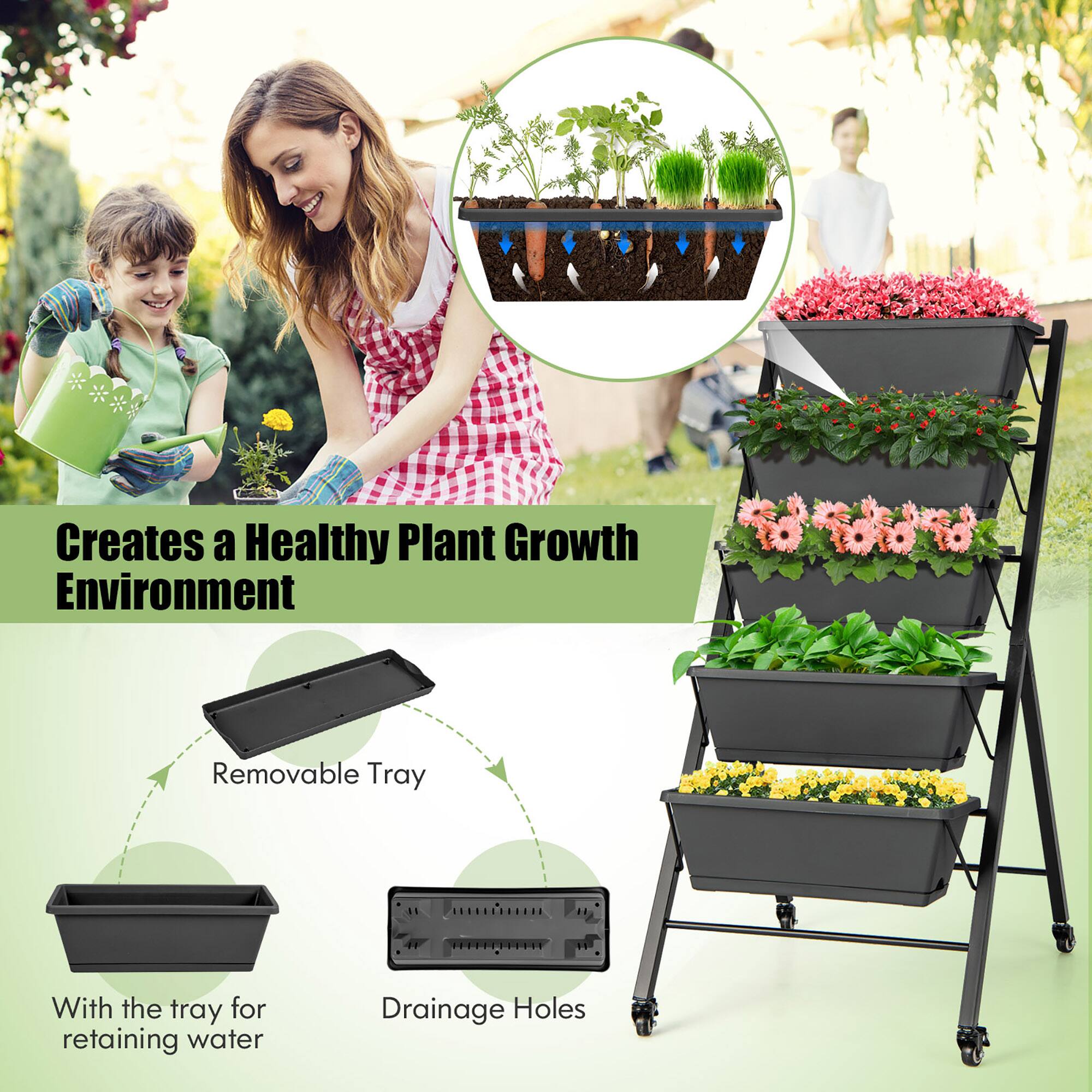 Creates a Healthy Plant Growth Environment Removable Tray With the tray for retaining water Drainage Holes