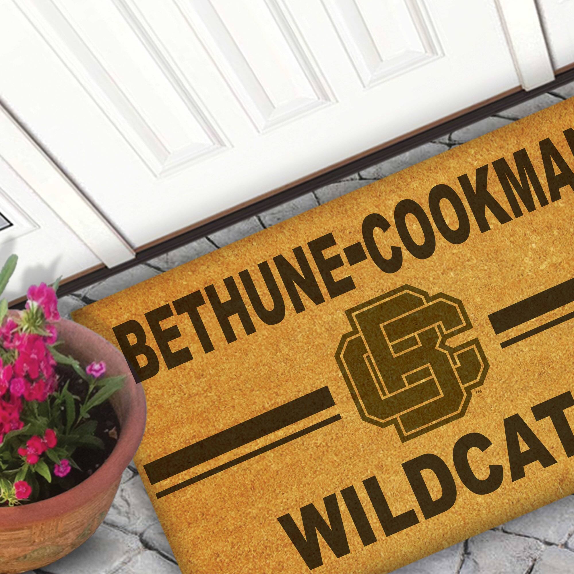 BETHUNE-COOKMAN WILDCATS