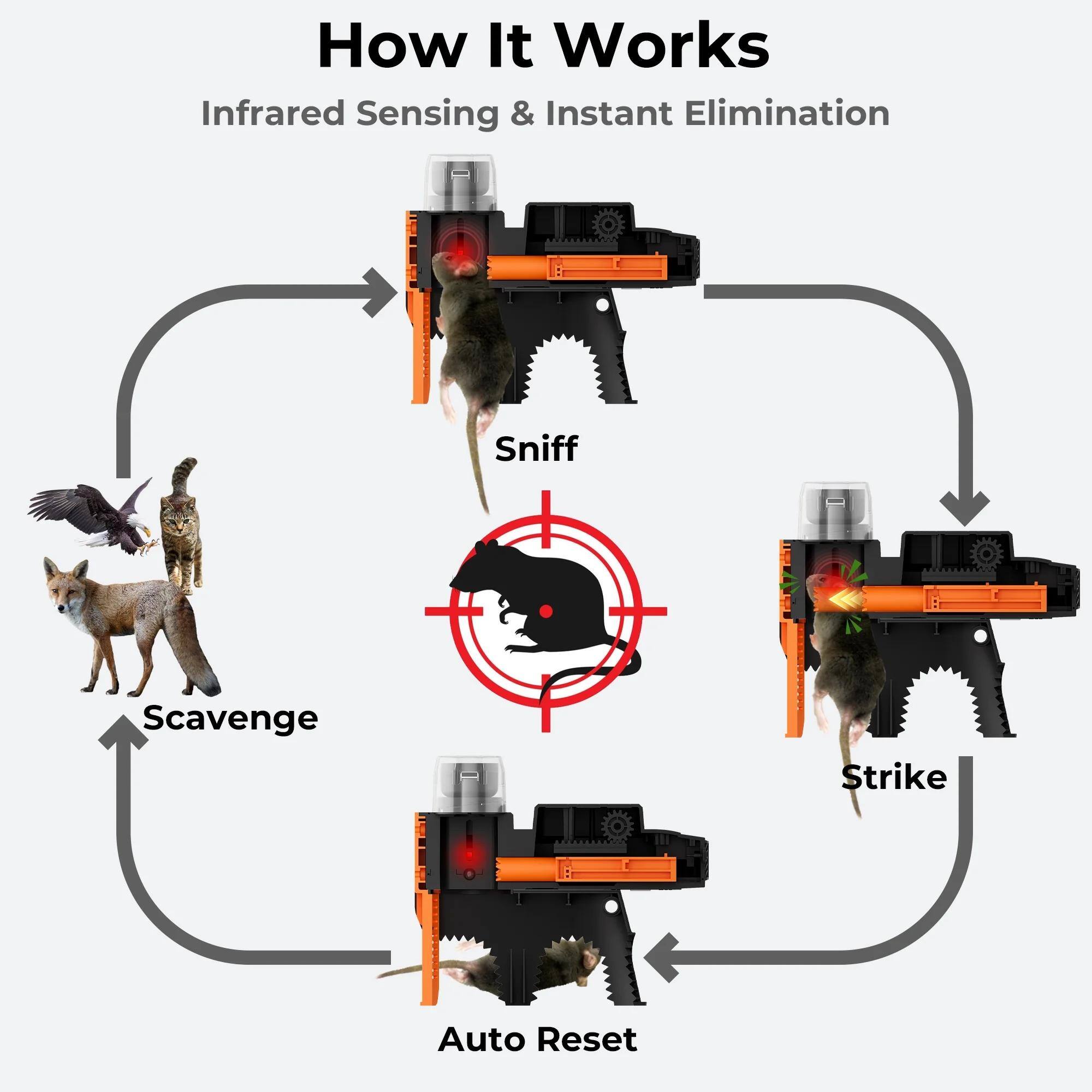 How It Works  
Infrared Sensing & Instant Elimination  
Sniff  
Scavenge  
Strike  
Auto Reset