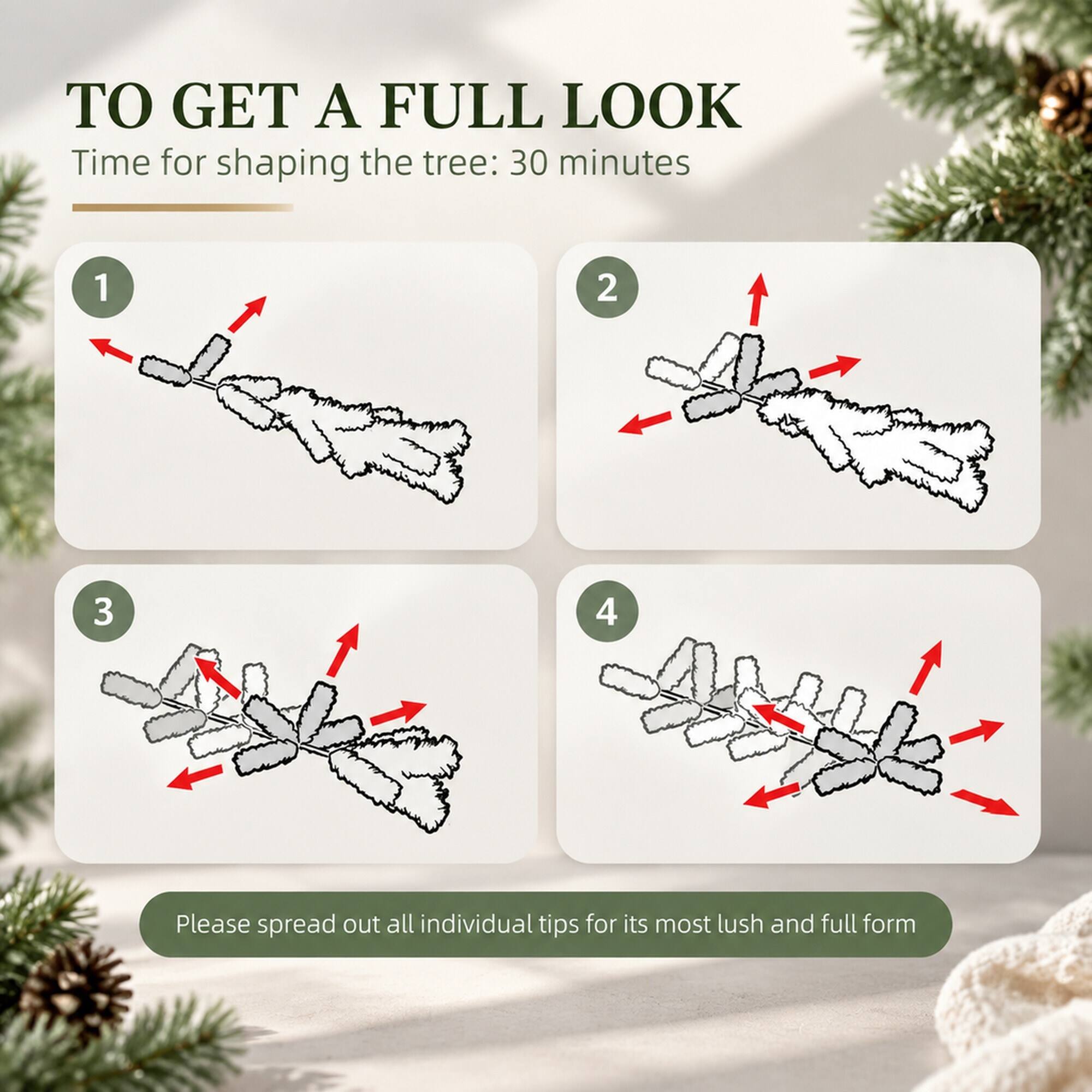 TO GET A FULL LOOK  
Time for shaping the tree: 30 minutes

1  
2  
3  
4  

Please spread out all individual tips for its most lush and full form