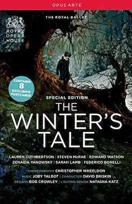 Winters Tale (Special Edition) - DVD